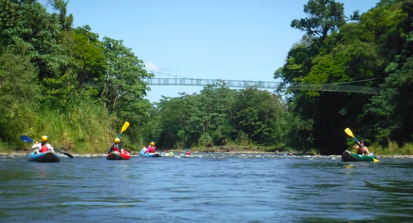 people wearing safety gear paddle water craft on calm water